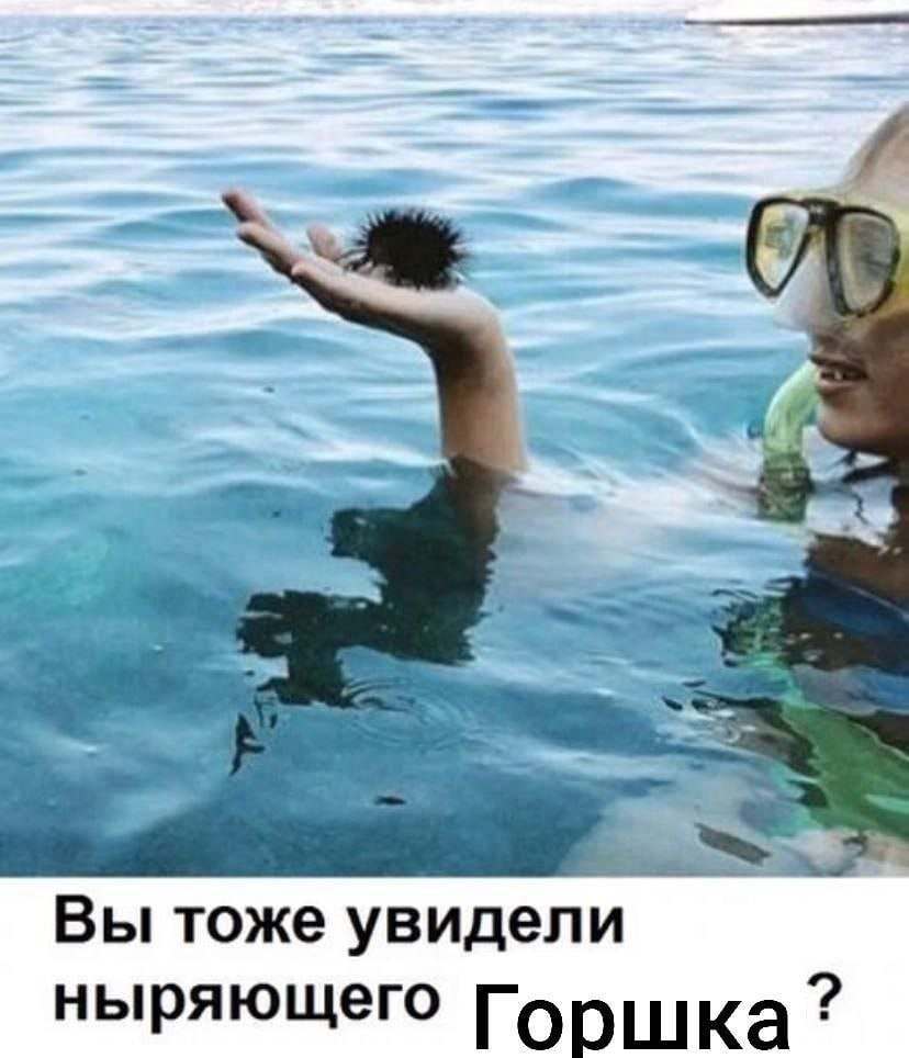 Вы тоже увидели ныряющего Горшка