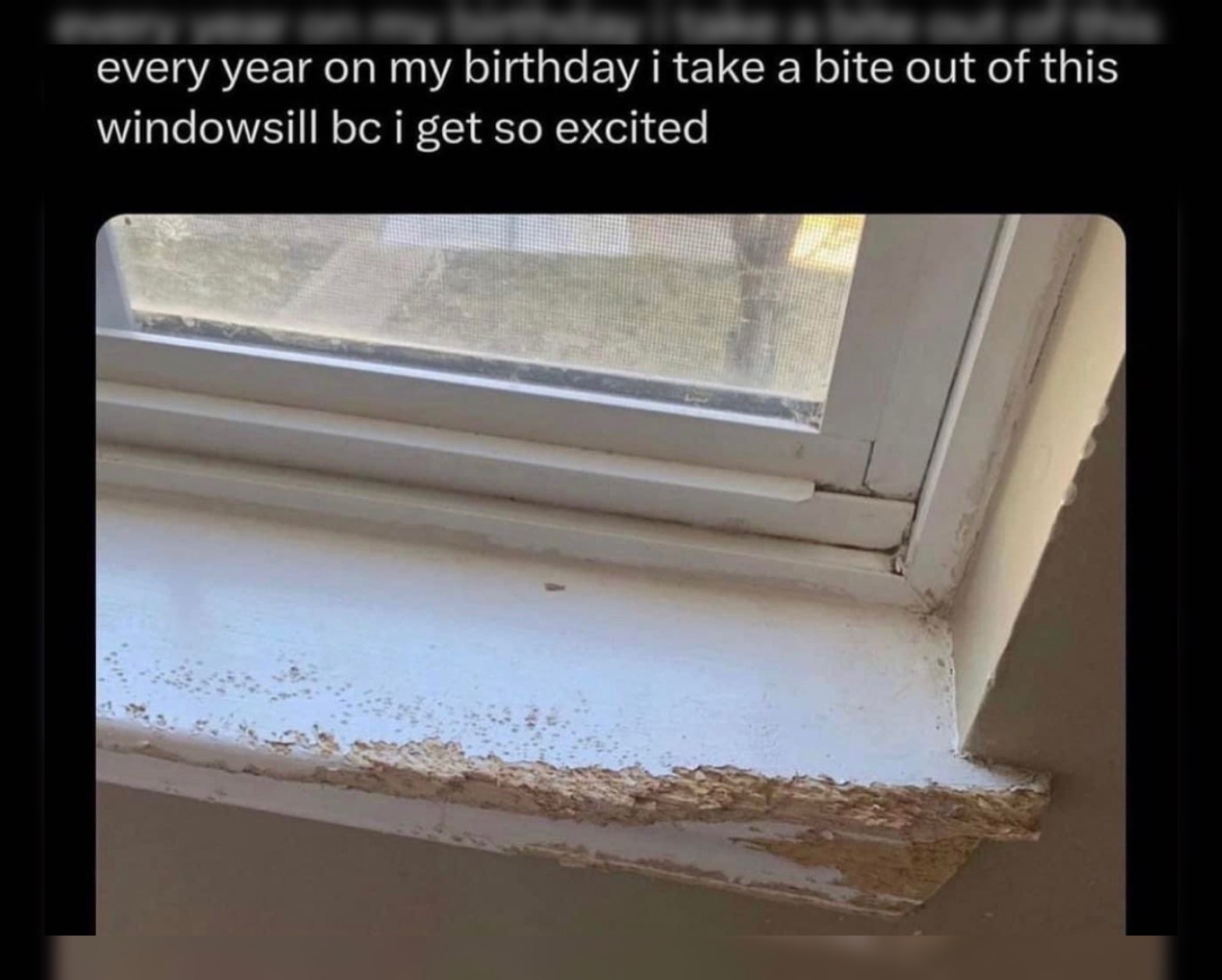 every year on my birthday i take a bite out of this windowsill i get so excited