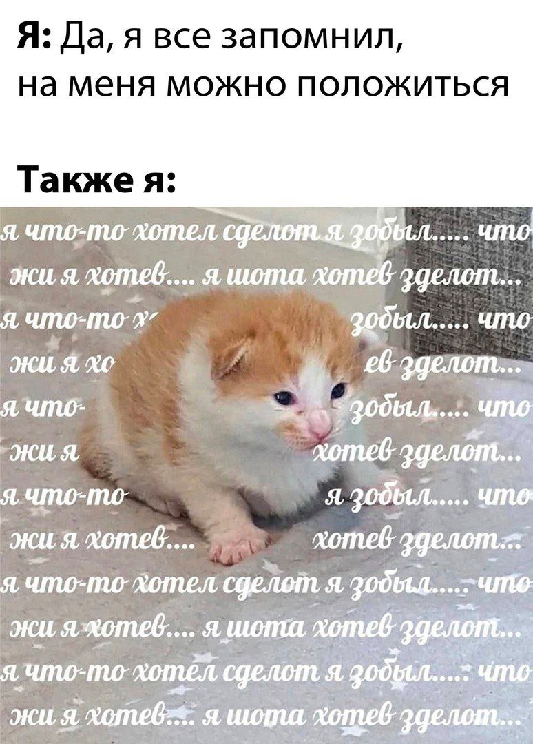 Я: Да, я все запомнил на меня MOMHO MOJIOMUTBCA Также я Я XOMELS JUG я хотеб.... я шота Я Я я что- что Я, хотеб эделот... что-то’ я язжотеб.... On сделот я, eee я я шота