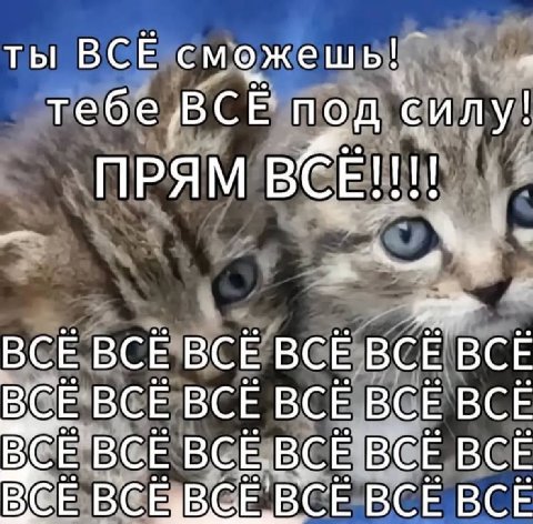 ты BCE сможешь! я BCE под силу! ПРЯМ BCE!!!! we ВСЁ BCE BCE BCE BCE BCE ВСЕ BCE BCE BCE BCE BCE ECE BCE BCE BCE BCE BCE BCE ВСЕВСЕ ВСЕ BCE BCE