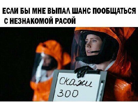ЕСЛИ БЫ МНЕ ВЫПАЛ ШАНС ПООБЩАТЬСЯ С НЕЗНАКОМОЙ РАСОЙ