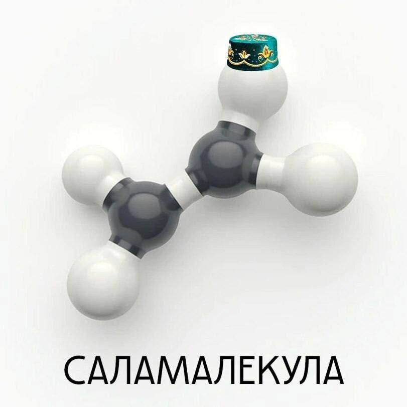 САЛАМАЛЕКУЛА