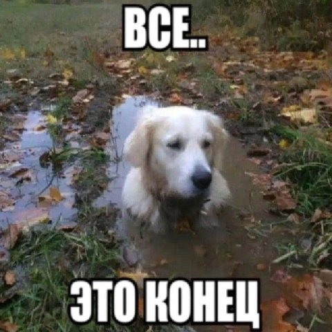 BCE. ЭТО КОНЕЦ