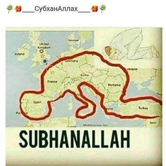 СубханАллах___ SUBHANALLAH