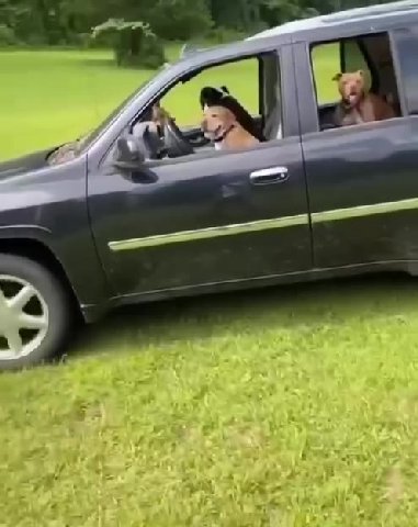 мем