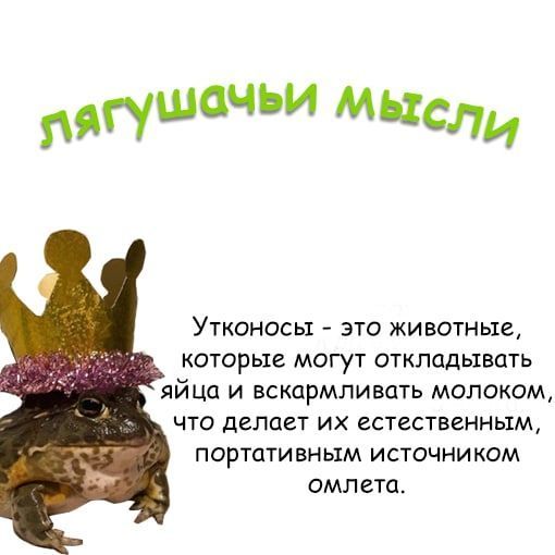 nary Ли Утконосы это животные, которые могут откладывать яйца и вскармливать молоком, что делает естественным, портативным источником