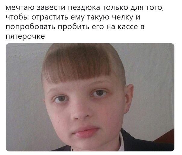 мечтаю завести пездюка только для того, чтобы отрастить ему такую челку и попробовать пробить его на кассе в пятерочке