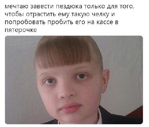 мечтаю завести пездюка только для того, чтобы отрастить ему такую челку и попробовать пробить его на кассе в пятерочке
