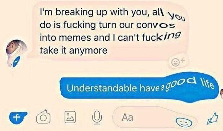breaking up with you, is fucking turn our convos into memes and can't take it anymore