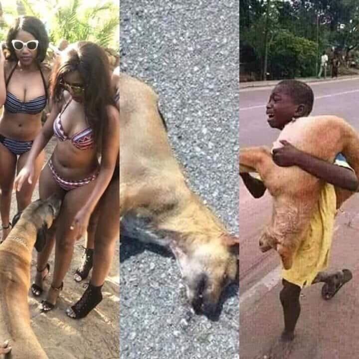 и i у 7. у AS и к у 4 4 dir