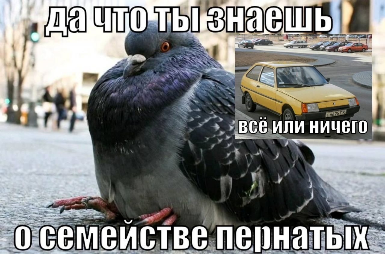 у ничего я