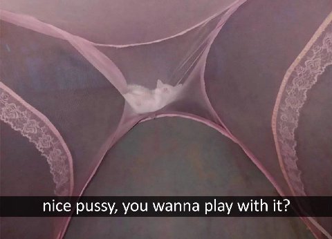 nice pussy, you wanna play with it?