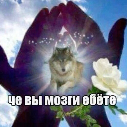 4 вы мозги ебете