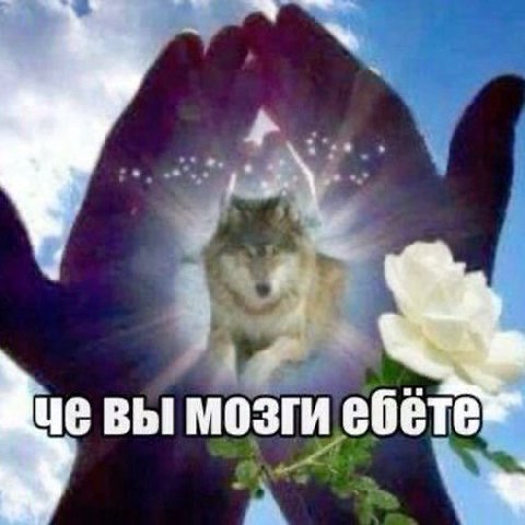 4 вы мозги ебете