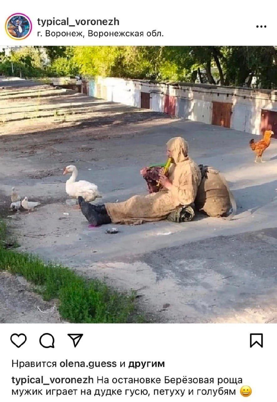 typical_voronezh Воронеж, Воронежская обл. у 3 4 4 2 Я a Нравится olena.guess и другим typical_voronezh На остановке Берёзовая роща мужик играет дудке гусю, петуху и голубям