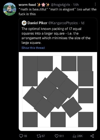 worm food “math is beautiful” “math is elegant” bro what the fuck is this о Daniel Рег The optimal known packing of 17 equal squares into a larger square the arrangement which minimises the size of th