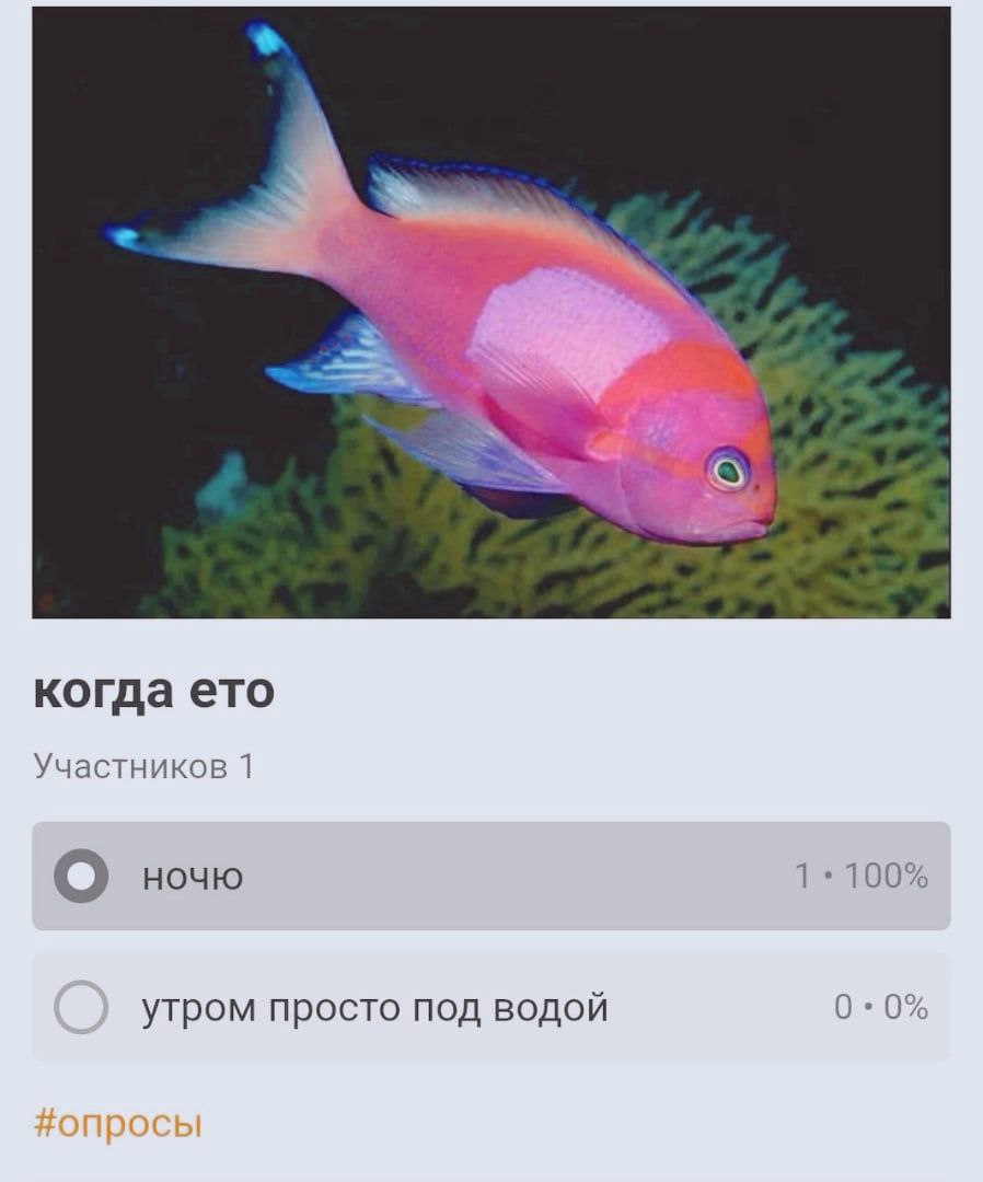 когда ето Участников 1 О ночю 1 100% 0.0% утром просто под водой