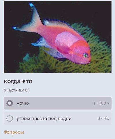 когда ето Участников 1 О ночю 1 100% 0.0% утром просто под водой