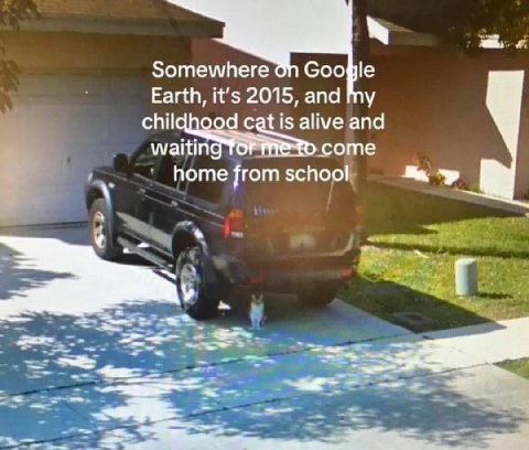 Somewhere Google Earth, it’s 2015, and chil cat is alive and waitin come home from school my a