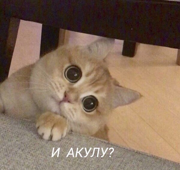 И АКУЛУ?
