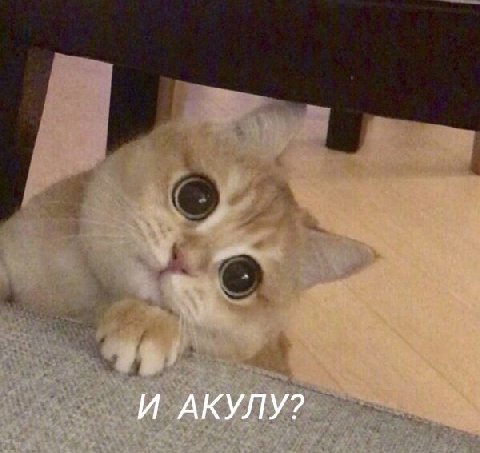 И АКУЛУ?