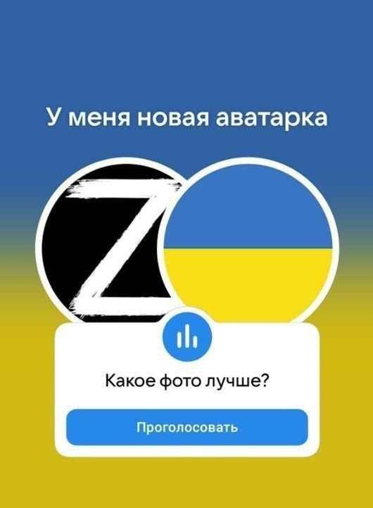 видосы штефика: