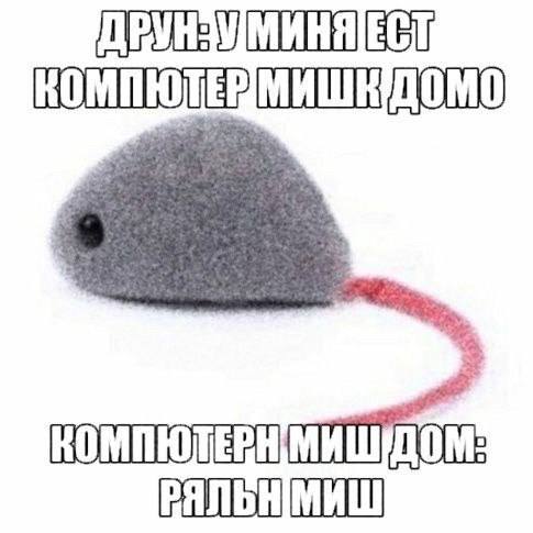 ВЯЛЬНМИШ
