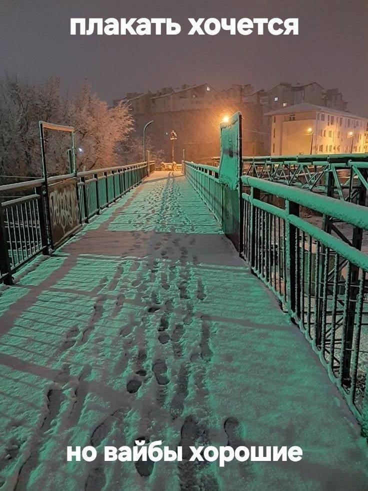 Подписчики кто