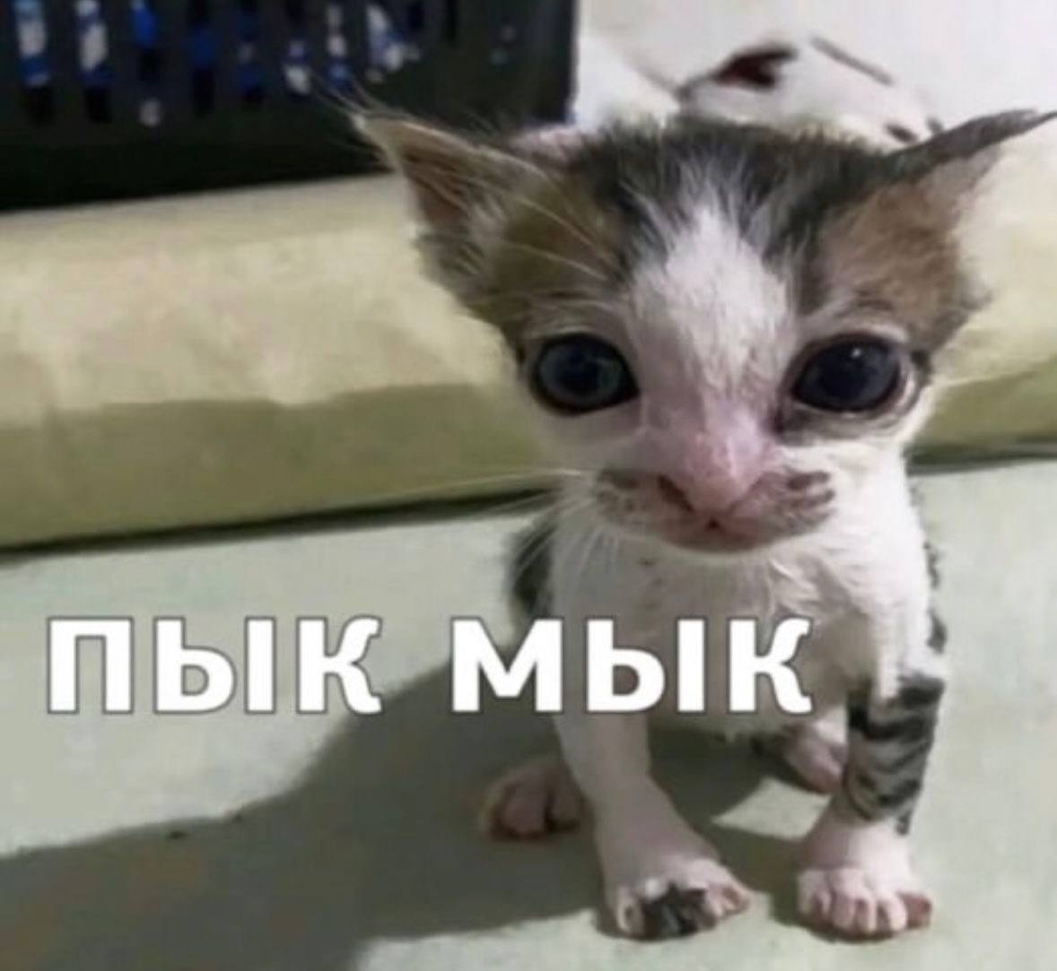 ПЫК МЫК