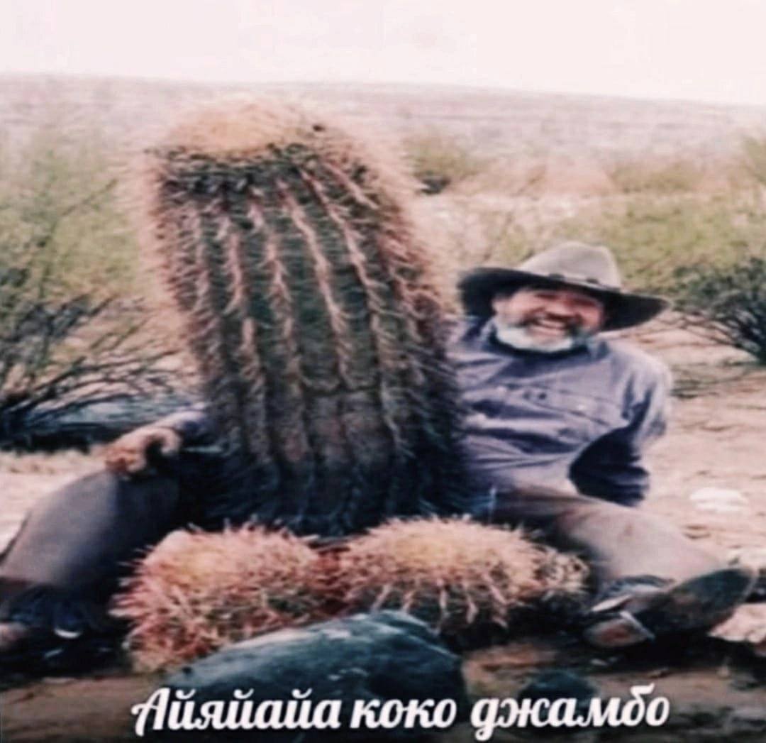 7 5 4 Пияйайа коко джамбо