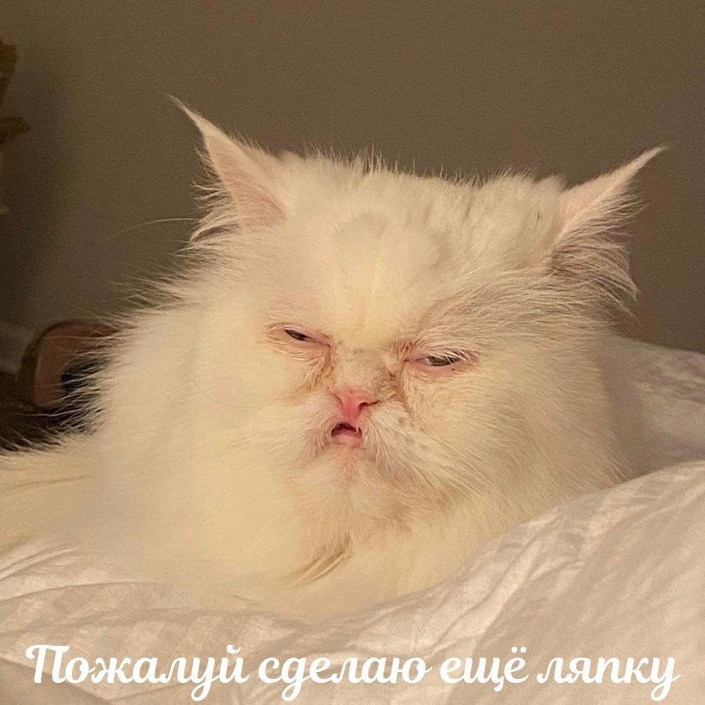 Пожалуй, ю.еще ляпку