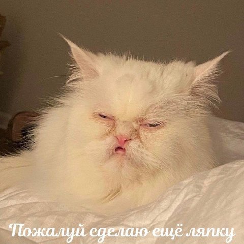 Пожалуй, ю.еще ляпку