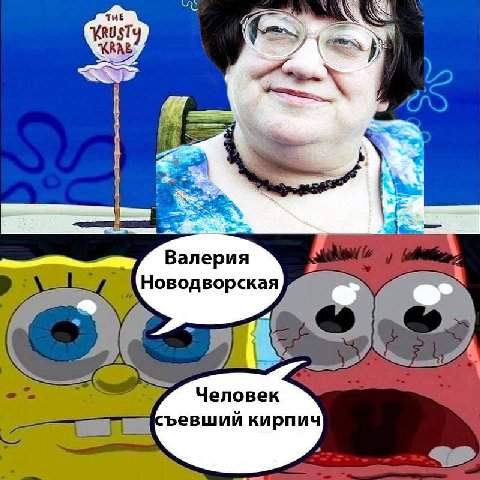 1 Валерия Новодворская Человек ъевший кирпич