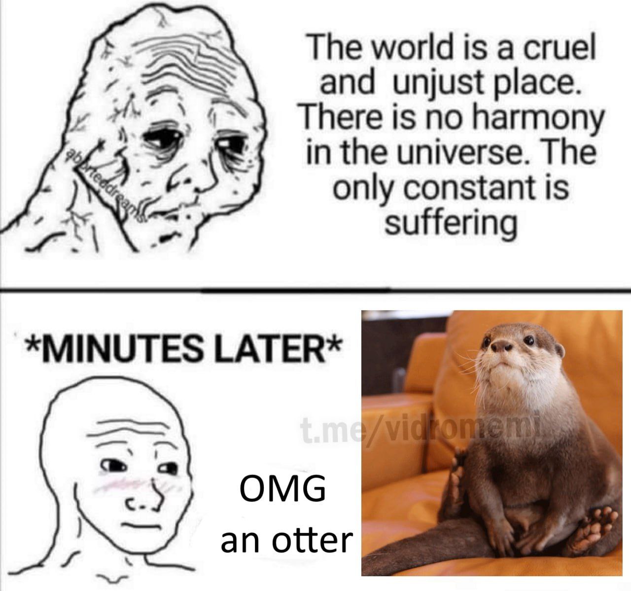 The world is a cruel A.” and unjust place. There is no harmony in the universe. The only constant is suffering *MINUTES LATER* tim OMG an otter