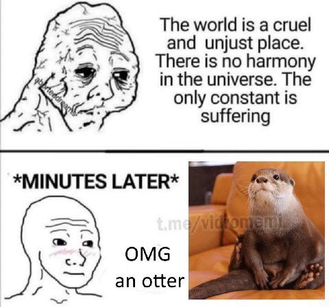 The world is a cruel A.” and unjust place. There is no harmony in the universe. The only constant is suffering *MINUTES LATER* tim OMG an otter
