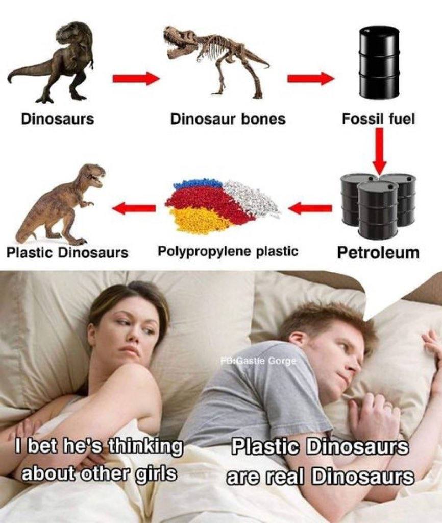 A. Dinosaurs Dinosaur bones Fossil fuel plastic Petroleum Plastic {3 S*thinkir