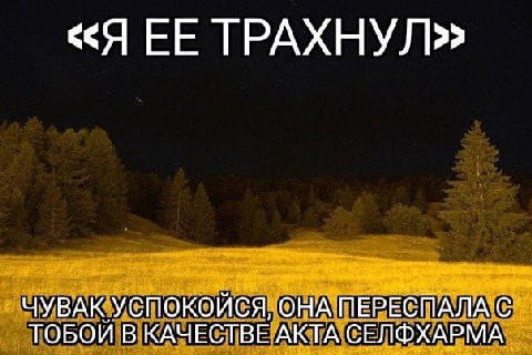 «Я ЕЕ ТРАХНУЛ]? ЧУВАК УСПОКОЙСЯ, ОНА ПЕРЕСПАЛА С ТОБОЙ В КАЧЕСТВЕ АКТА СЕЛФХАРМА