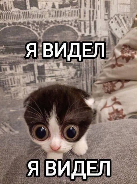 Я Я ВИДЕЛ