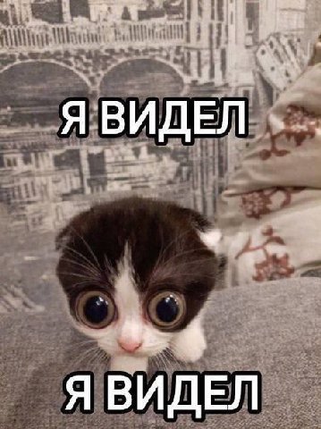 Я Я ВИДЕЛ