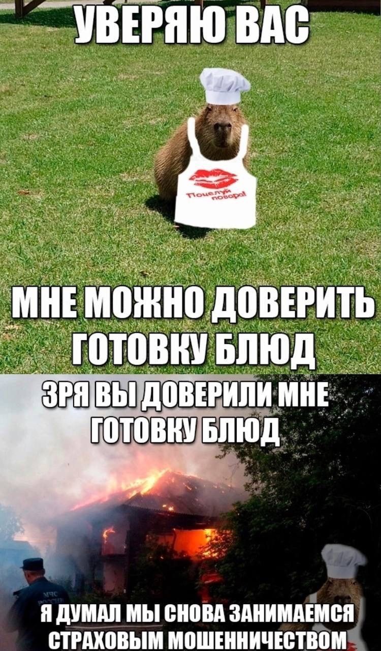 УВЕРЯЮ ВАС 0 ДОВЕРИТЬ ГОТОВКУ БЛЮД ВЫ ДОВЕРИЛИ МНЕ ГОТОВКУ БЛЮД Я ДУМАЛ МЫ СНОВА ЗАНИМАЕМСЯ СТРАХОВЫМ МОШЕННИЧЕСТВОМ
