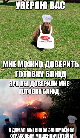 УВЕРЯЮ ВАС 0 ДОВЕРИТЬ ГОТОВКУ БЛЮД ВЫ ДОВЕРИЛИ МНЕ ГОТОВКУ БЛЮД Я ДУМАЛ МЫ СНОВА ЗАНИМАЕМСЯ СТРАХОВЫМ МОШЕННИЧЕСТВОМ