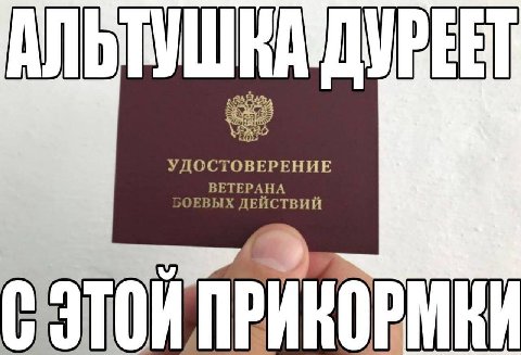 АЛЬ ДУВЕЕТ УДОСТОВЕРЕНИЕ ВЕТЕРАНА ДЕЙСТВИЙ И