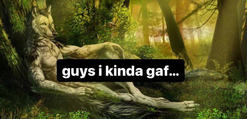 guys kinda gaf...