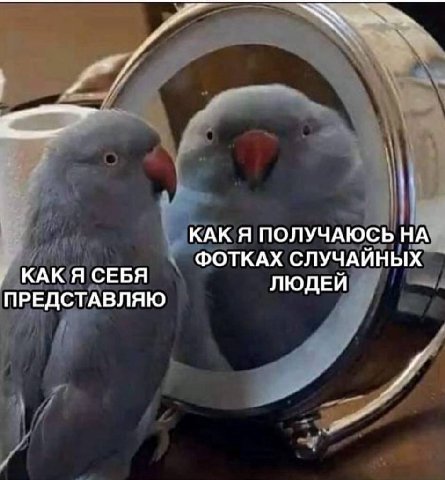 КАК Я ПОЛУЧАЮСЬ НА ФОТКАХ СЛУЧАЙНЫХ КАК Я СЕБЯ ЛЮДЕЙ ПРЕДСТАВЛЯЮ