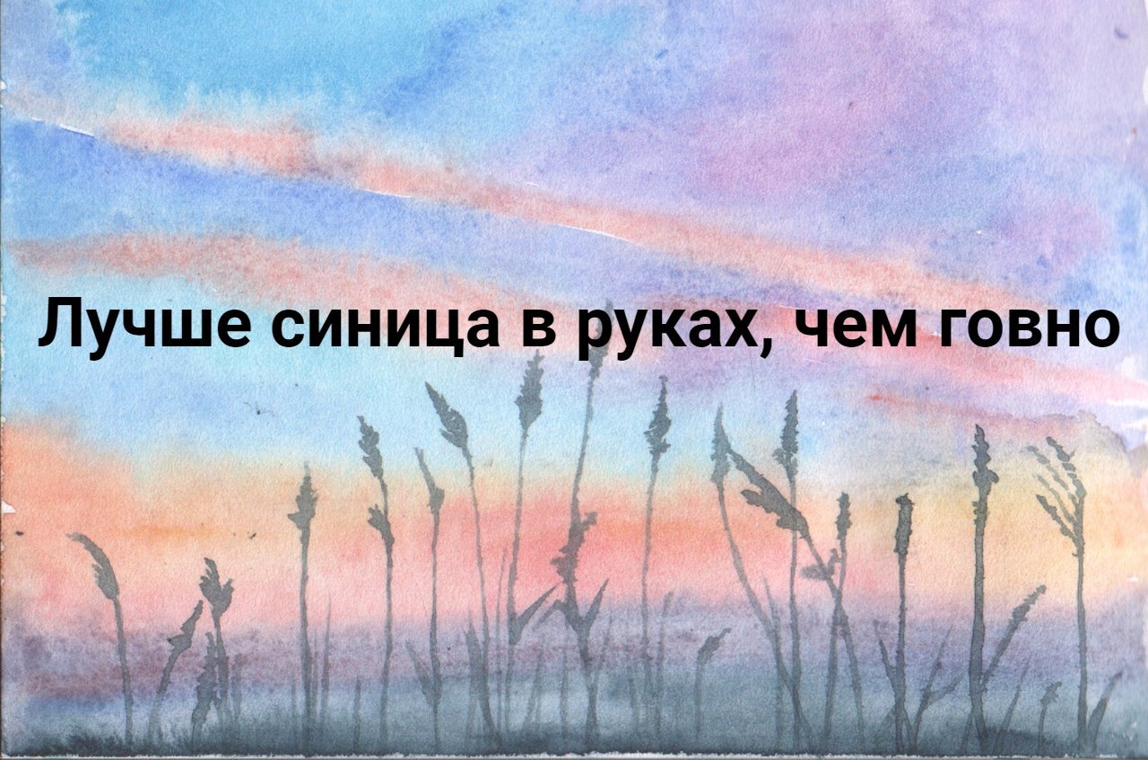 чем говно Лучше синица в |4 Sts the 3$ 4