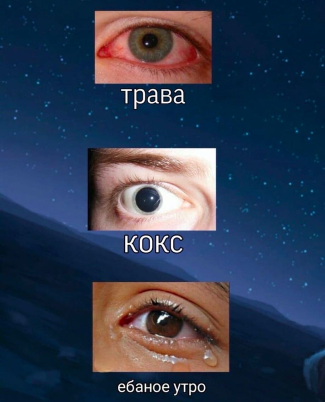 трава КОКС ебаное утро