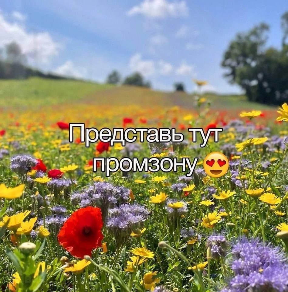 A Представь тут 3 ПРОМ 3 a foe