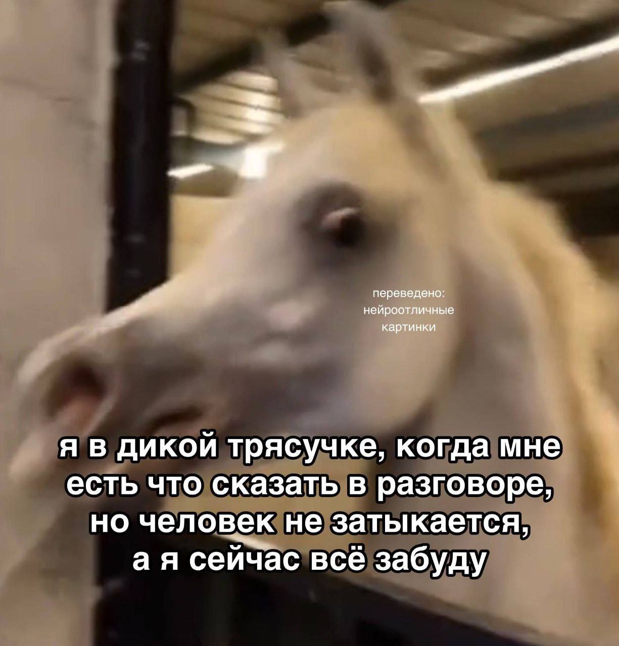 переведено: нейроотличные картинки я в дикой трясучке, когда мне есть что сказать в разговоре, но человек не затыкается, сейчас всё забуду