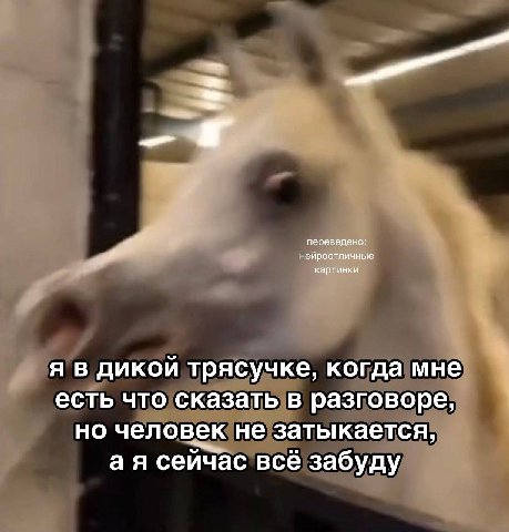 переведено: нейроотличные картинки я в дикой трясучке, когда мне есть что сказать в разговоре, но человек не затыкается, сейчас всё забуду