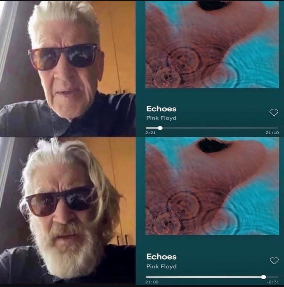 Echoes Echoes